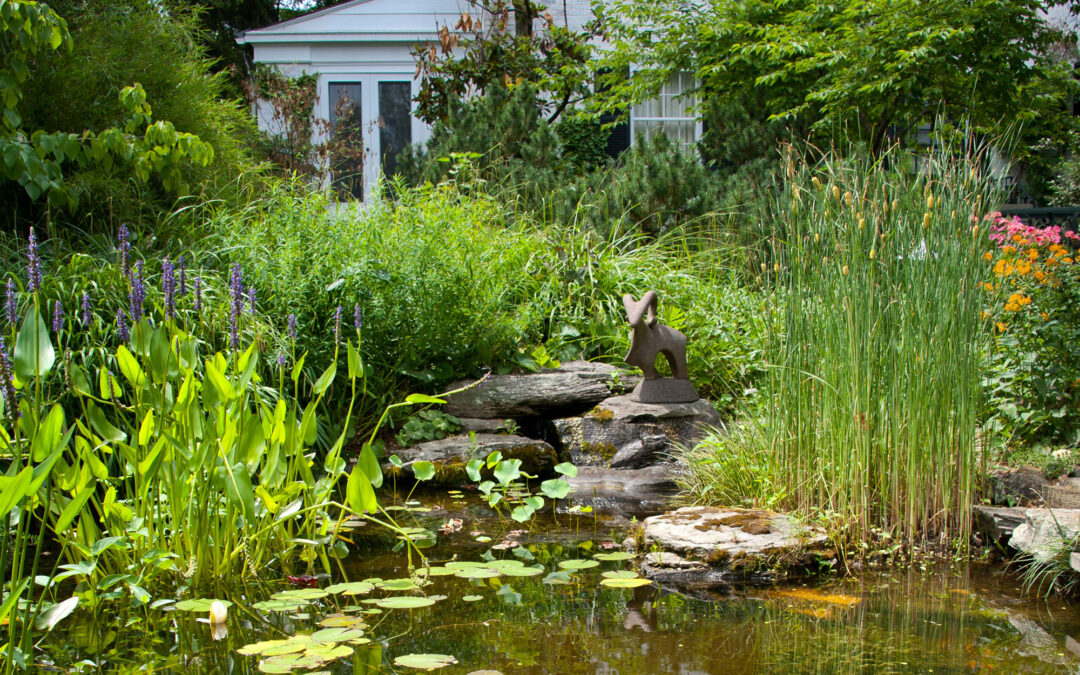 3. Transform Your Outdoor Space: Inspiring Pond Design Ideas